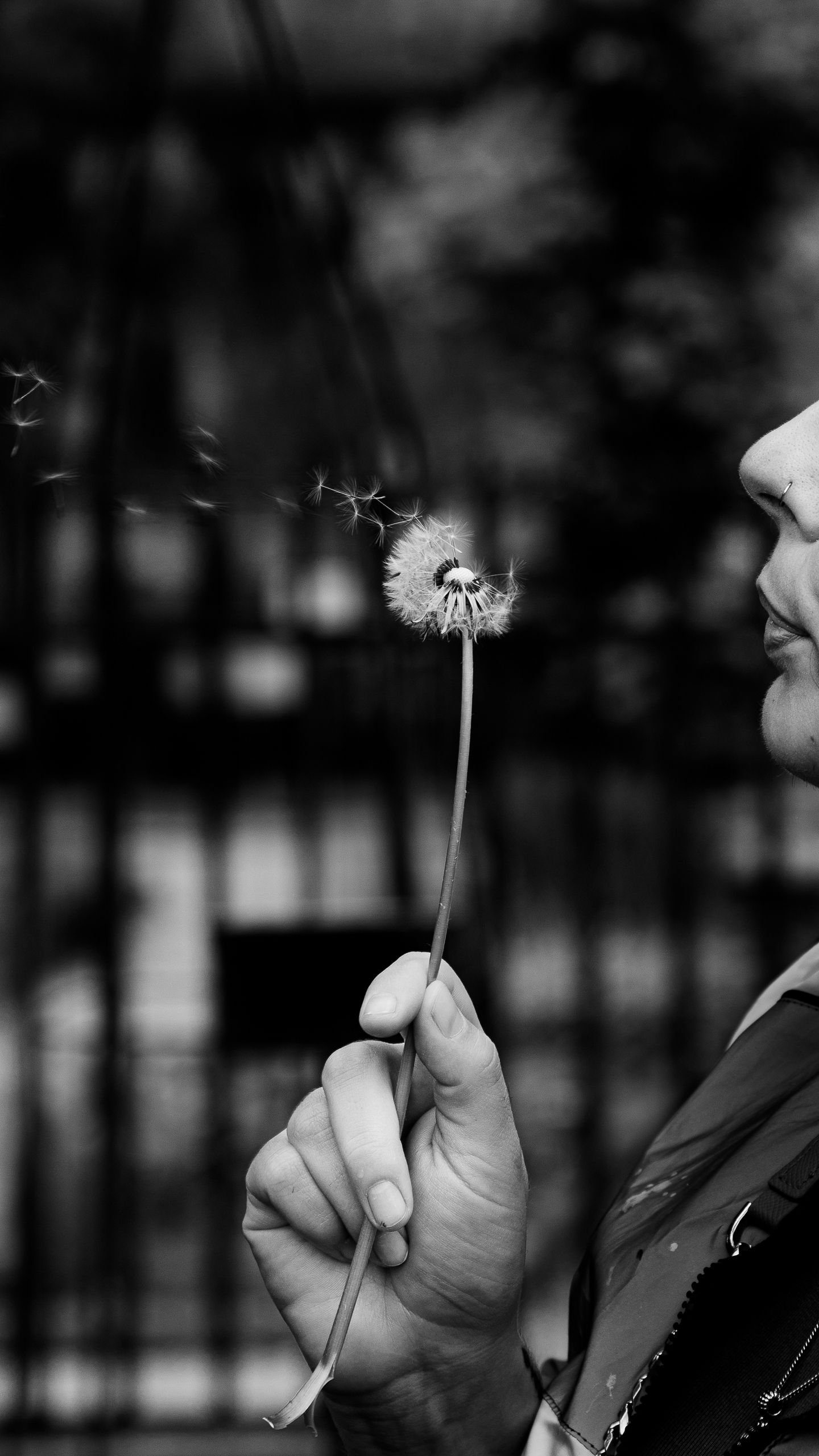 A serene black and white close-up of a woman blowing a dandelion.